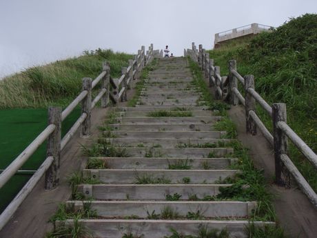 P8140042