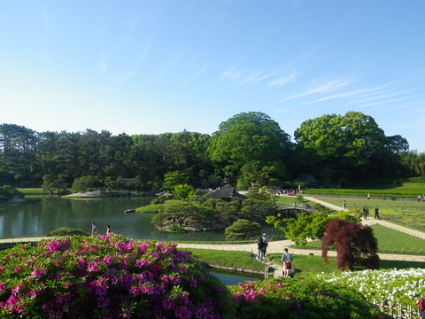 IMGP0065