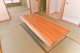 tachi028