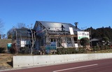 DSCN0903-01