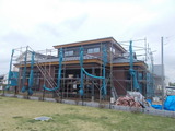 DSCN0343