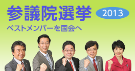 saninsen-2013-b