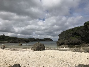 IMG_2978
