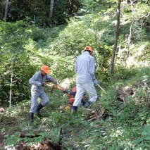 180918 山野草のエキ保存ボランティア (20)