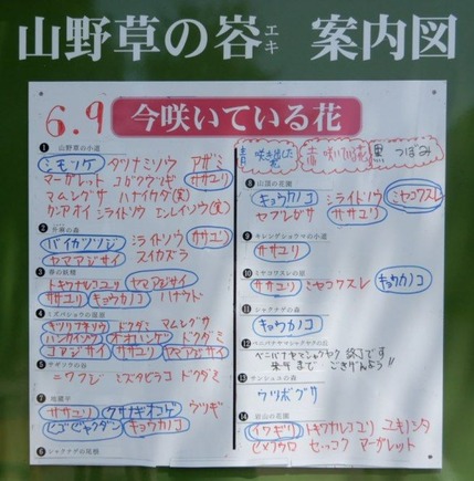 £±£¸£°£¶£°£¹¡¡»³ÌîÁð¤Î¥¨¥ (51)-1