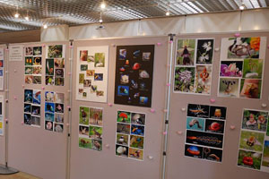 12657352_420814804780866_1975844673855758269_o