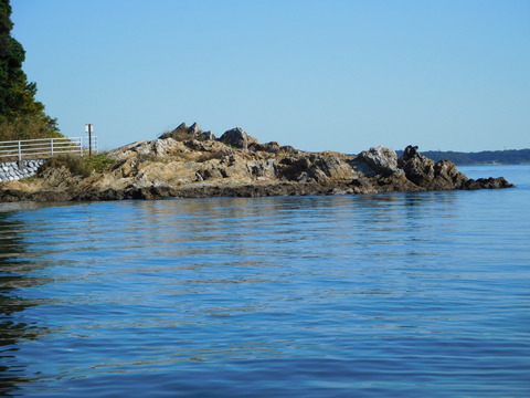 DSCN2224