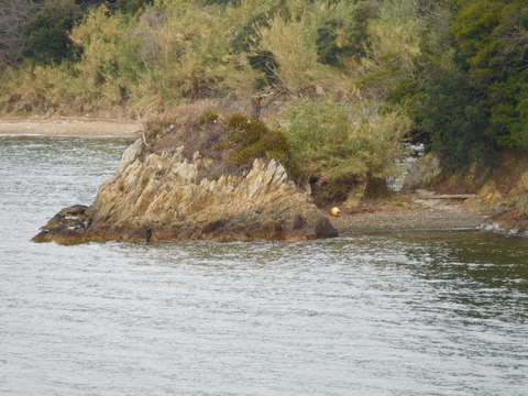 _SCN4878