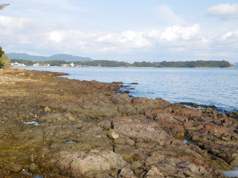 DSCN3049
