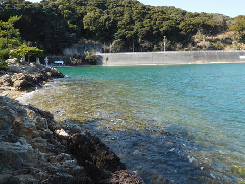 DSCN5208