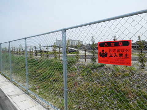 DSCN5766