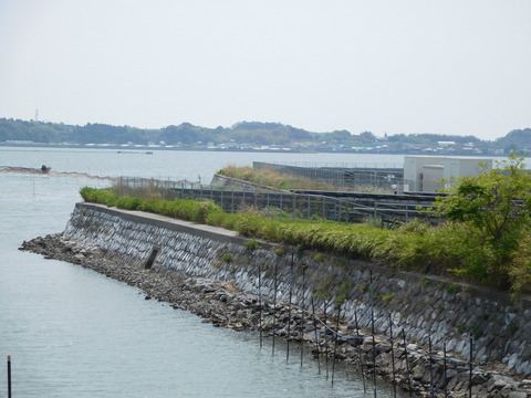 DSCN5762