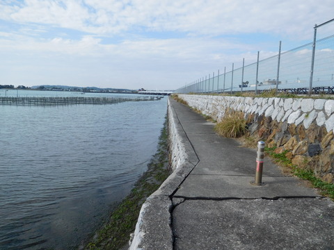DSCN3631