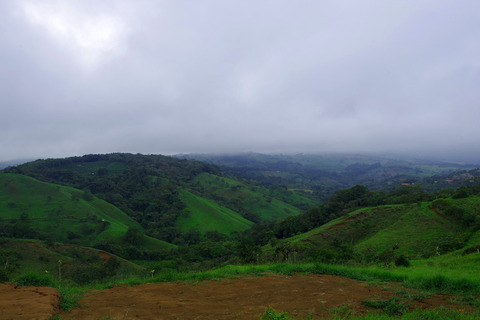 IMGP0663