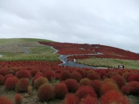 2010.10.31-04