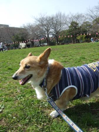 2010.03.24-01