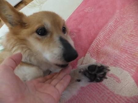 2014051303