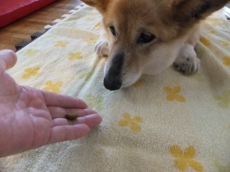2014052601