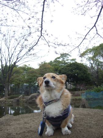 2010.03.28-05