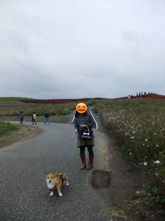 2010.10.31-03