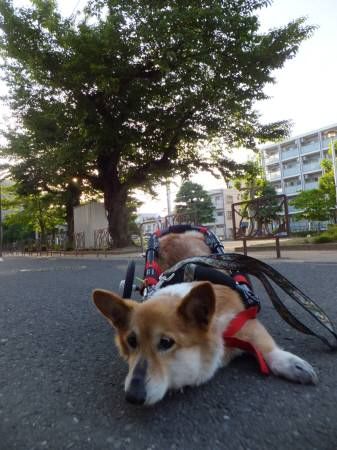 2014051101