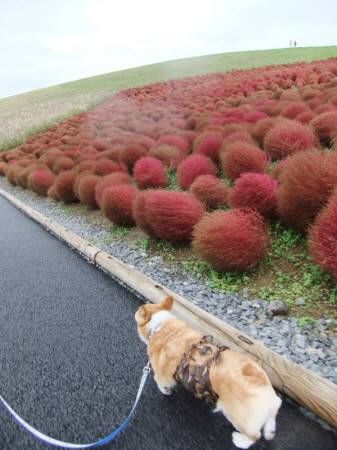 2010.10.31-07