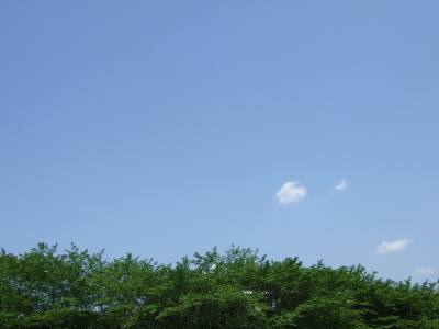 07.05.03-7