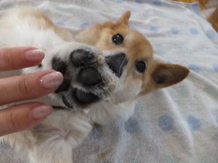 2014051406