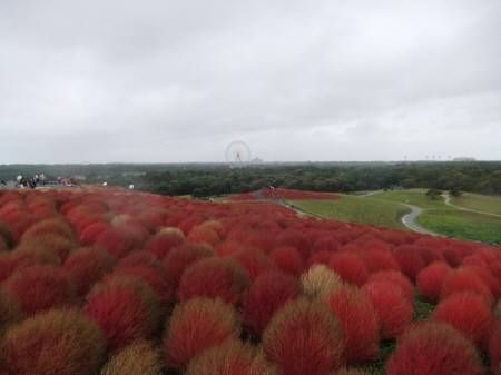 2010.10.31-05