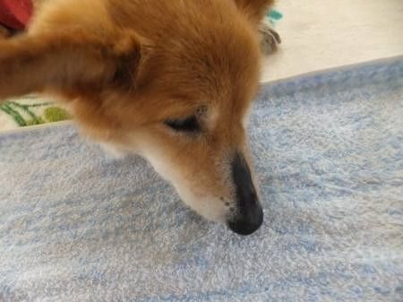 2014051903