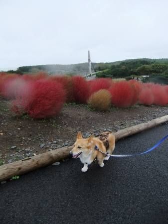 2010.10.31-08
