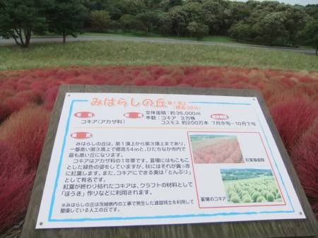 2010.10.31-10