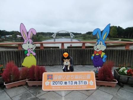 2010.10.31-01
