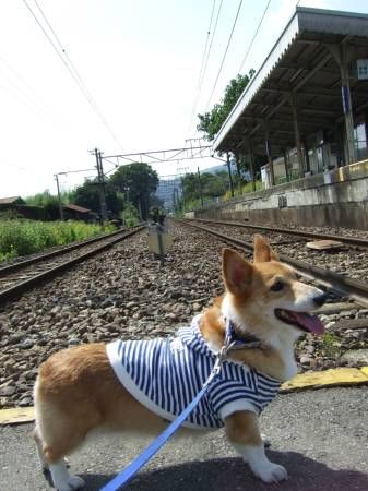 20140806020