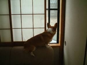 2014072003