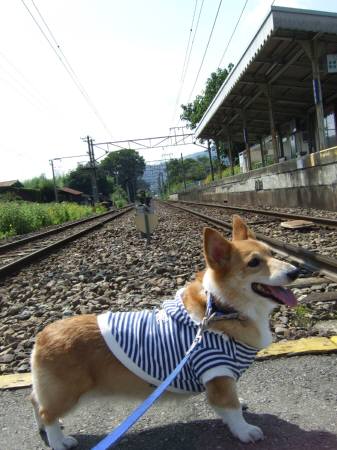 2010.03.27-11