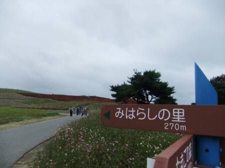 2010.10.31-02