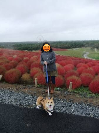 2010.10.31-09