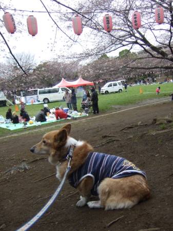 2010.03.28-03