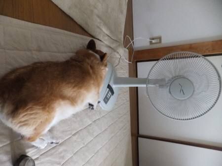 ͂悤I㌀@\VR4@#59i63bj[][]©2ch.net	->摜>18 