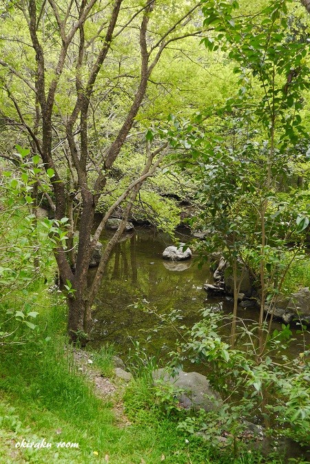 P2090886