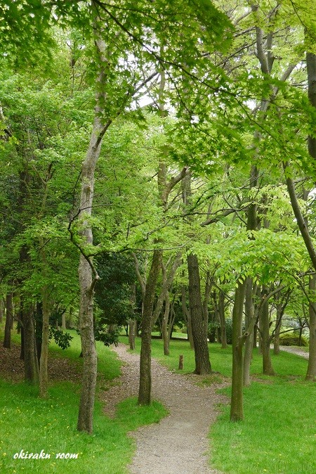 P2090881