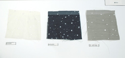 sample1