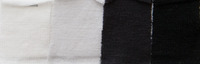 BS8R0279