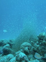 P5040561