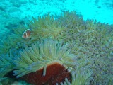 P5040570
