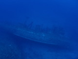 P5041425