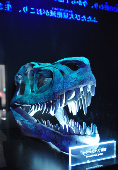 地球最古の恐竜展12