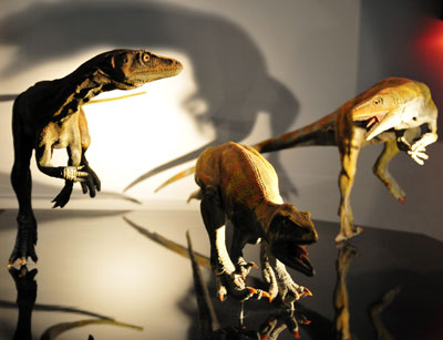 地球最古の恐竜展16