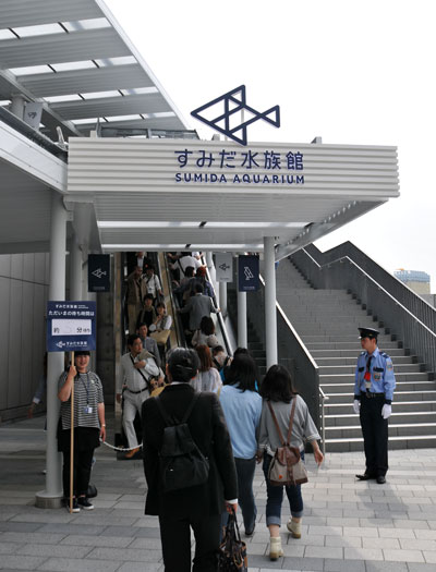 東京スカイツリー56